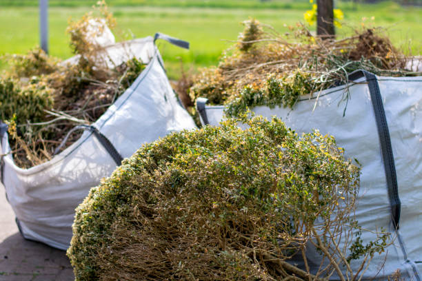 Best Yard Cleanup Services  in Dundalk, MD